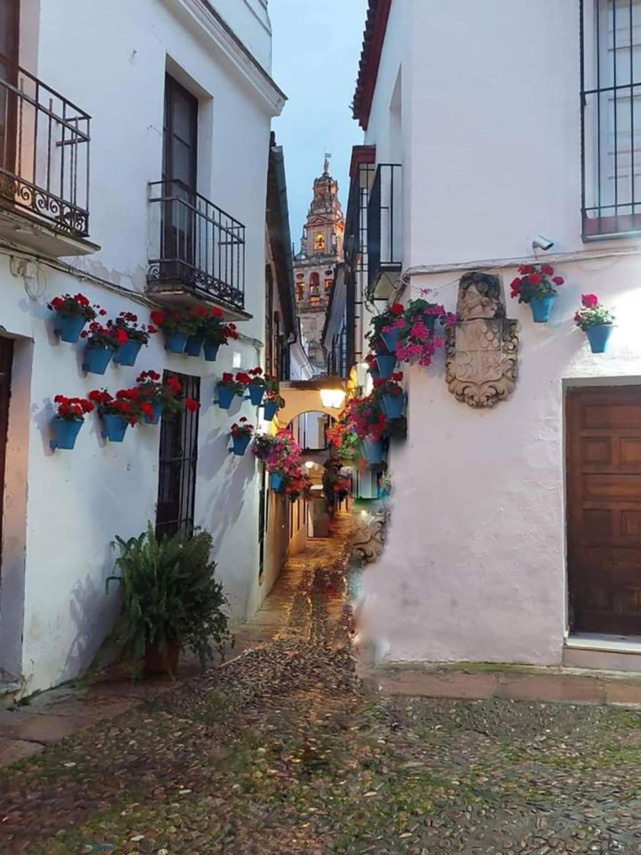 Nieves Viejas Los Patios 코르도바 외부 사진