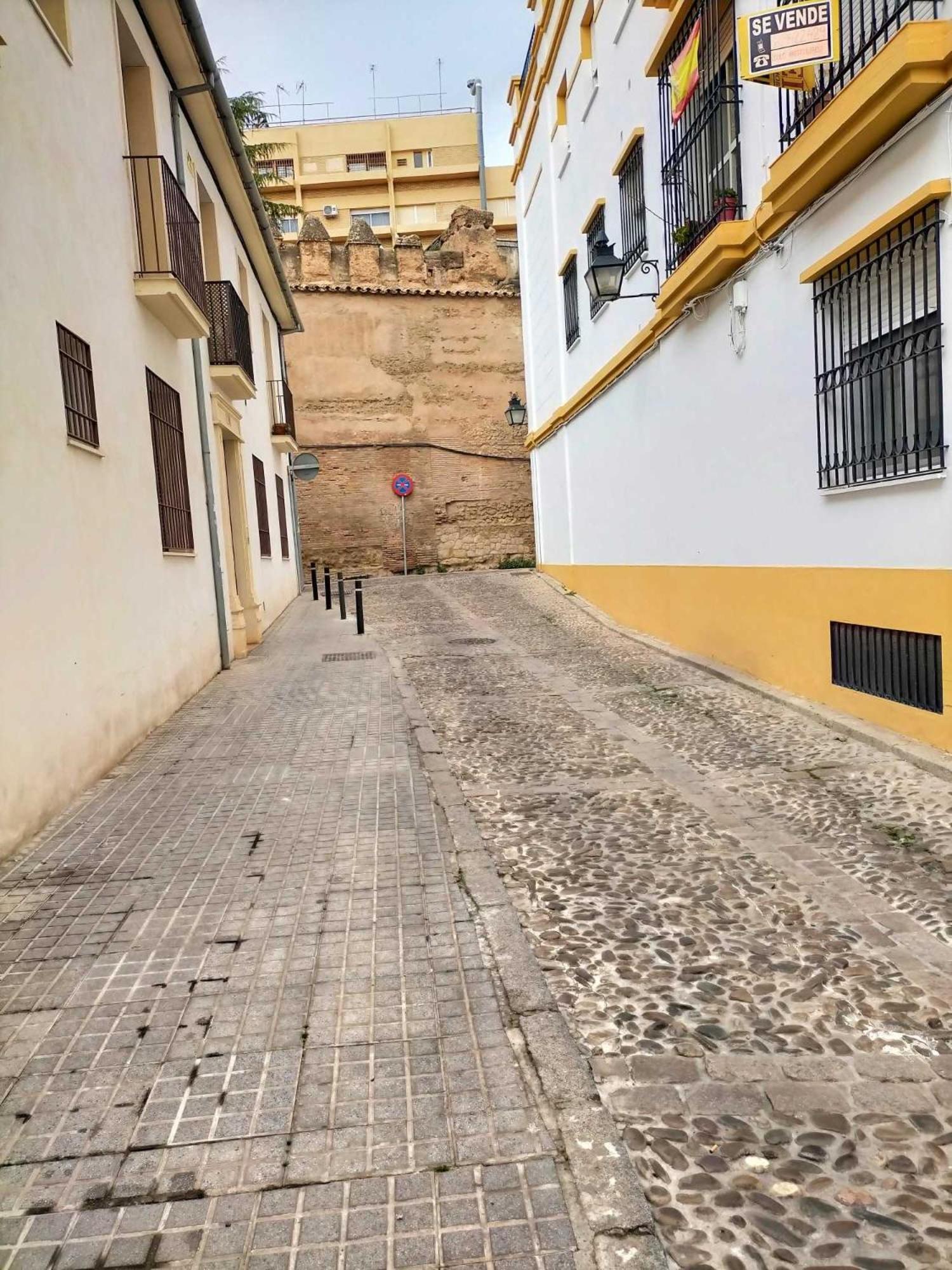 Nieves Viejas Los Patios 코르도바 외부 사진
