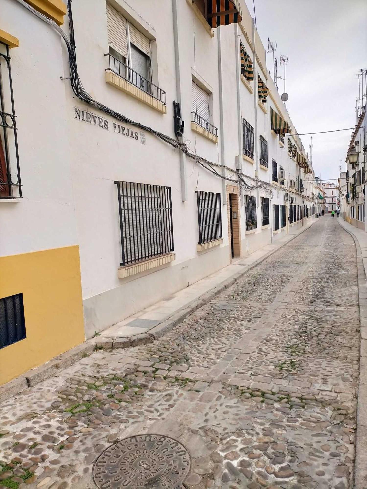 Nieves Viejas Los Patios 코르도바 외부 사진